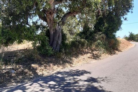 Byhus i Albufeira, Faro, Albufeira - € 360.000 | Ref: 945139 - foto 6