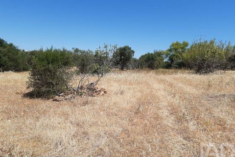 Byhus i Albufeira, Faro, Albufeira - € 360.000 | Ref: 945139 - foto 7