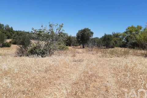 Byhus i Albufeira, Faro, Albufeira - € 360.000 | Ref: 945139 - foto 8