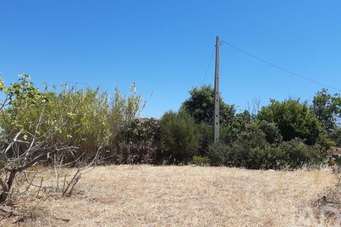 Byhus i Albufeira, Faro, Albufeira - € 360.000 | Ref: 945139 - foto 9