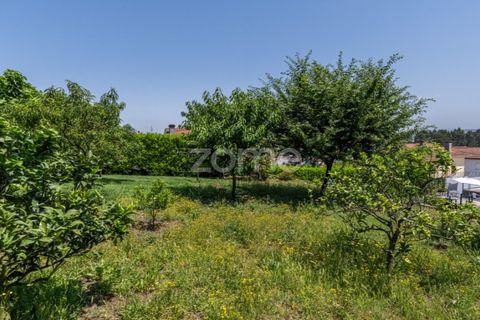 Haus in Trofa, Porto, Trofa - € 390.000 | Ref: ZMPT589792 - Foto 24