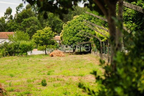 Helårsgrund i Paco de Sousa, Porto, Paco de Sousa - € 81.150 | Ref: ZMPT589673 - foto 5
