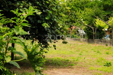 Helårsgrund i Paco de Sousa, Porto, Paco de Sousa - € 81.150 | Ref: ZMPT589673 - foto 6