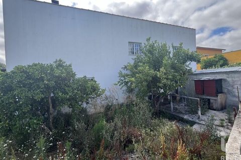 Byhus i Cantanhede, Coimbra, Cantanhede - € 315.000 | Ref: 855075 - foto 38
