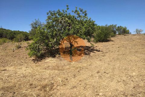 Helårsgrund i Castro Marim, Faro, Castro Marim - € 61.000 | Ref: SU-CS-TR-94866 - foto 5