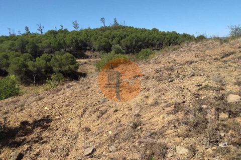 Helårsgrund i Castro Marim, Faro, Castro Marim - € 61.000 | Ref: SU-CS-TR-94866 - foto 12