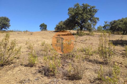 Helårsgrund i Castro Marim, Faro, Castro Marim - € 61.000 | Ref: SU-CS-TR-94865 - foto 6