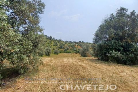 Terreno en Tomar, Santarem, Tomar - € 72.000 | Ref: 610/26 - photo 1