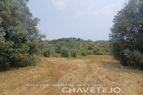 Terreno en Tomar, Santarem, Tomar - € 72.000 | Ref: 610/26 - photo 2