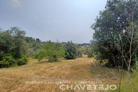 Terreno en Tomar, Santarem, Tomar - € 72.000 | Ref: 610/26 - photo 3