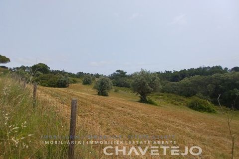 Terreno en Tomar, Santarem, Tomar - € 72.000 | Ref: 610/26 - photo 4