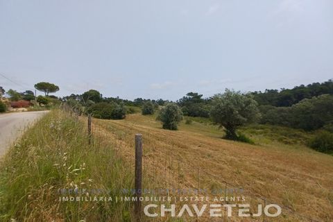 Terreno en Tomar, Santarem, Tomar - € 72.000 | Ref: 610/26 - photo 5