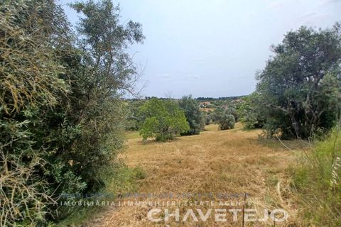 Terreno en Tomar, Santarem, Tomar - € 72.000 | Ref: 610/26 - photo 6