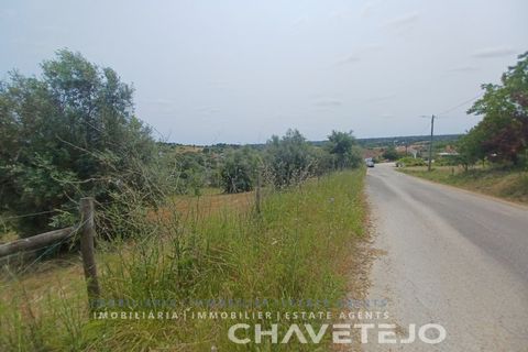 Terreno en Tomar, Santarem, Tomar - € 72.000 | Ref: 610/26 - photo 7