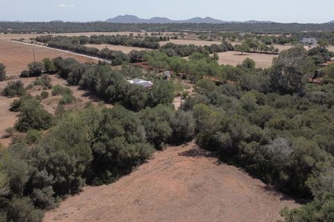 Finca i Campos, Mallorca, Campos - € 1.400.000 | Ref: SPCRM5172 - foto 38