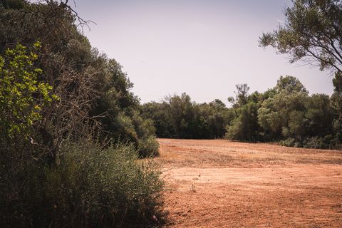Finca i Campos, Mallorca, Campos - € 1.400.000 | Ref: SPCRM5172 - foto 50