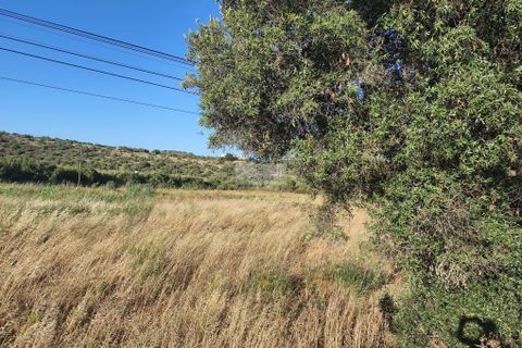 Helårsgrund i Lagos, Faro, Lagos - € 450.000 | Ref: T0560 - foto 2
