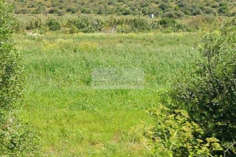 Helårsgrund i Lagos, Faro, Lagos - € 450.000 | Ref: T0560 - foto 7