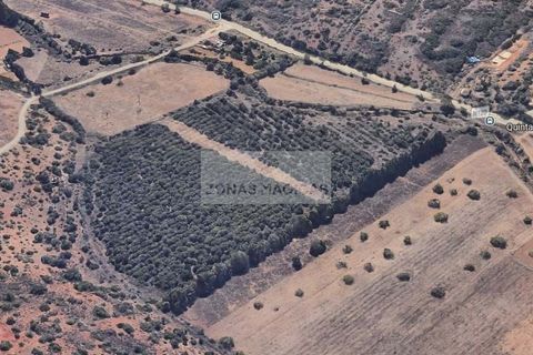 Helårsgrund i Lagos, Faro, Lagos - € 450.000 | Ref: T0560 - foto 8