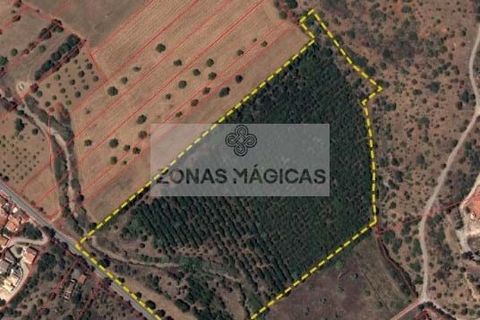 Helårsgrund i Lagos, Faro, Lagos - € 450.000 | Ref: T0560 - foto 9