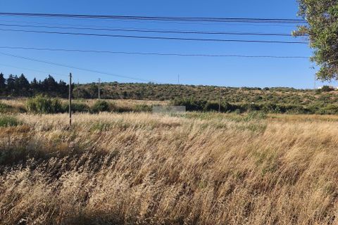 Helårsgrund i Lagos, Faro, Lagos - € 450.000 | Ref: T0560 - foto 11