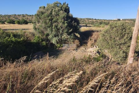 Helårsgrund i Lagos, Faro, Lagos - € 450.000 | Ref: T0560 - foto 12