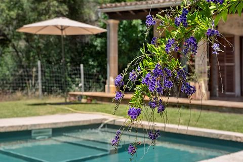 Landejendom i Campanet, Mallorca, Campanet - € 990.000 | Ref: 7815 - foto 2