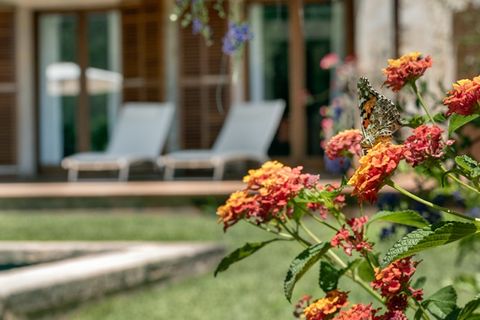 Landejendom i Campanet, Mallorca, Campanet - € 990.000 | Ref: 7815 - foto 21