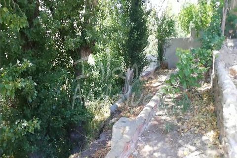 Cortijo i Zujar, Granada, Zujar - € 25.000 | Ref: CJ951 - foto 9