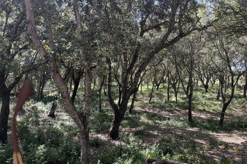Finca i Arta, Mallorca, Arta - € 1.000.000 | Ref: 5102 - foto 12