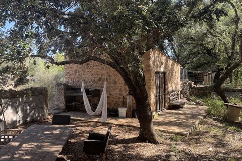 Finca i Arta, Mallorca, Arta - € 1.000.000 | Ref: 5102 - foto 13