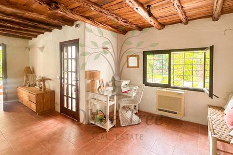 Villa a Cala de Bou, Ibiza, Cala de Bou - € 12.000/mes | Ref: CAS_1164 - foto 25