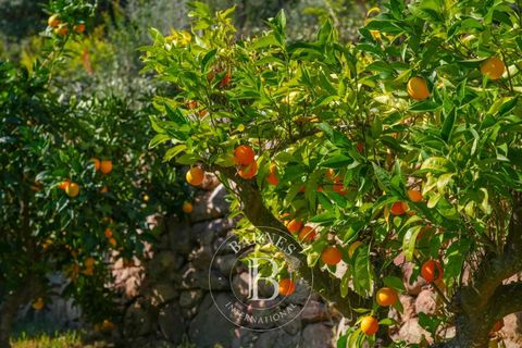 Villa i Ajaccio, Corse-du-Sud, Ajaccio - € 1.450.000 | Ref: RVA50 - foto 14