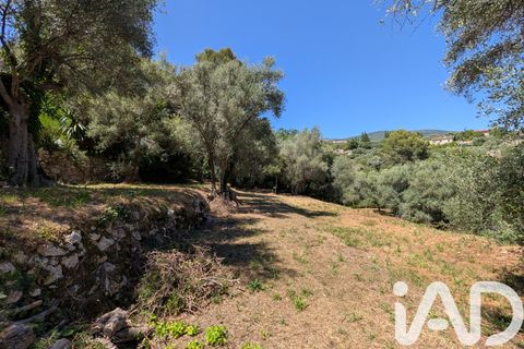 Helårsgrund i Grasse, Alpes-Maritimes, Grasse - € 275.000 | Ref: 51859 - foto 5