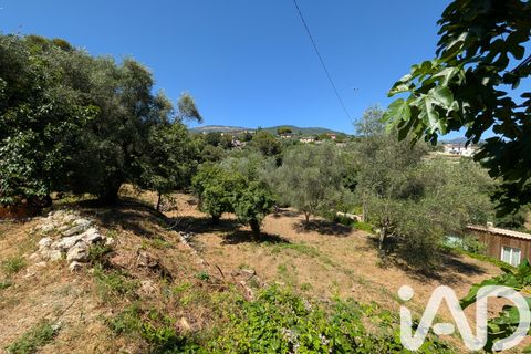 Helårsgrund i Grasse, Alpes-Maritimes, Grasse - € 275.000 | Ref: 51859 - foto 6