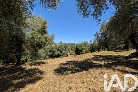 Helårsgrund i Grasse, Alpes-Maritimes, Grasse - € 275.000 | Ref: 51859 - foto 7