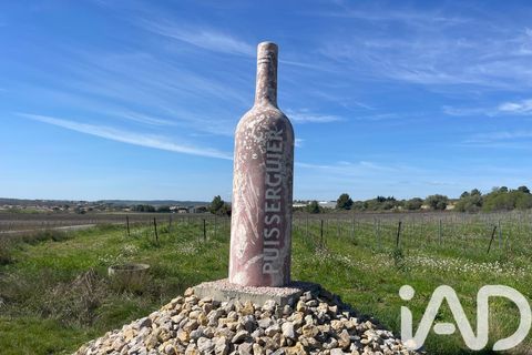 Villa a Puisserguier, Herault, Puisserguier - € 398.000 | Ref: 95052 - foto 27