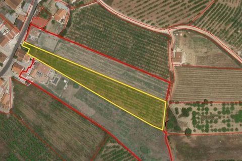 Byhus i Bombarral, Leiria, Bombarral - € 72.000 | Ref: 943873 - foto 6