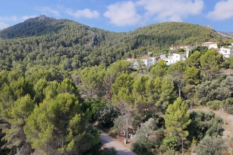 Grond in Orba, Alicante, Orba - € 99.000 | Ref: ES-ORB-019537 - foto 3