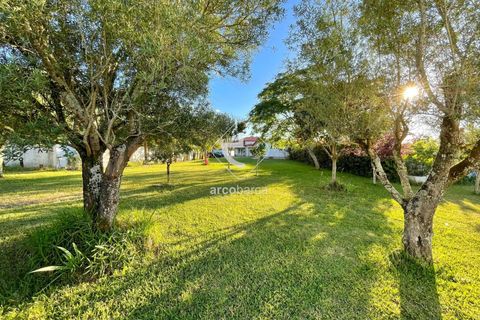 Byhus i Ponte de Lima, Viana do Castelo, Ponte de Lima - € 700.000 | Ref: AV6745 - foto 33