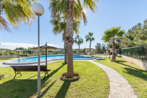 Villa i Orihuela, Alicante, Orihuela - € 244 000 | Ref: B-3519 - foto 37