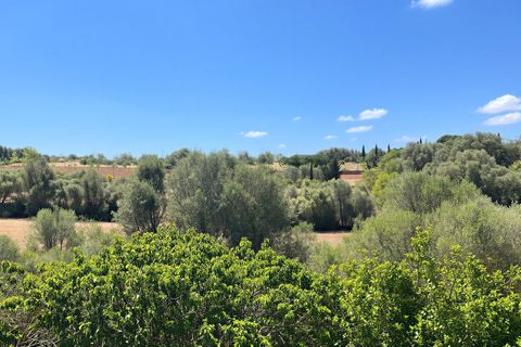 Finca i Llucmajor, Mallorca, Llucmajor - € 2.400.000 | Ref: FALC-AnRe-86344 - foto 20