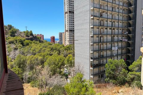 Lejlighed i Benidorm, Alicante, Benidorm - € 190.000 | Ref: GHP0386 - foto 13