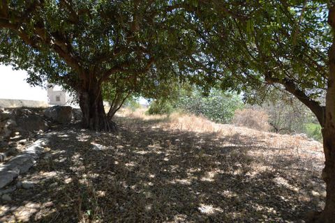 Byhus i Sorbas, Almeria, Sorbas - € 114.950 | Ref: OLV2174 - foto 9
