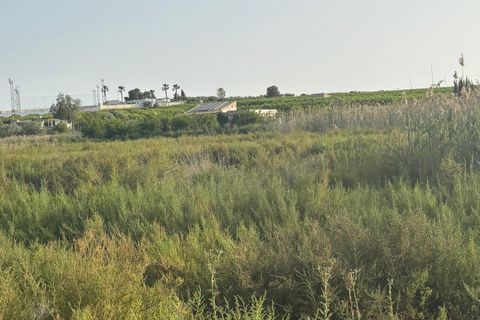 Terra a Ceuti, Murcia, Ceuti - € 40.000 | Ref: EXP14658/8930 - foto 2