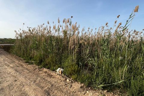 Terra a Ceuti, Murcia, Ceuti - € 40.000 | Ref: EXP14658/8930 - foto 5
