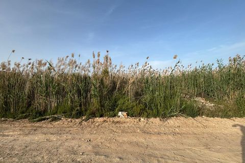 Terra a Ceuti, Murcia, Ceuti - € 40.000 | Ref: EXP14658/8930 - foto 6