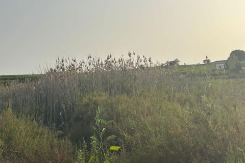Grond in Ceuti, Murcia, Ceuti - € 30.000 | Ref: EXP14658/8930 - foto 3