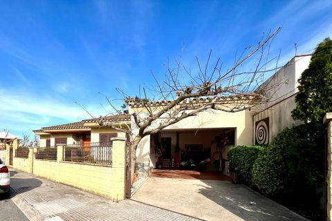 Villa i Deltebre, Tarragona, Deltebre - € 365.000 | Ref: EXP14691/8930 - foto 2