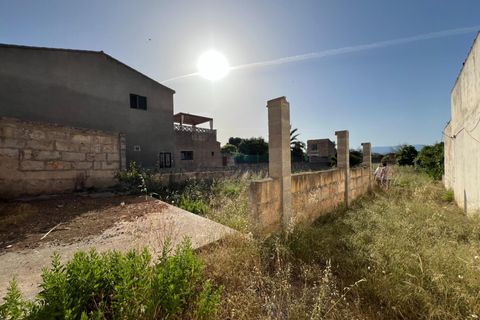 Helårsgrund i Algaida, Mallorca, Algaida - € 430.000 | Ref: EXP14695/8930 - foto 2